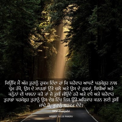 Picture 03 - ਅਸਤਸਨਾ 30:16 PANIRV - ਕਿਉਂਕਿ ਮੈਂ ਅੱਜ - Bible Verse Picture