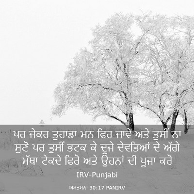 Picture 03 - ਅਸਤਸਨਾ 30:17 PANIRV - ਪਰ ਜੇਕਰ ਤੁਹਾਡਾ ਮਨ - Bible Verse Picture