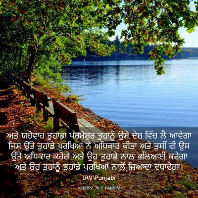 Picture 03 - ਅਸਤਸਨਾ 30:5 PANIRV - ਅਤੇ ਯਹੋਵਾਹ ਤੁਹਾਡਾ - Bible Verse Picture