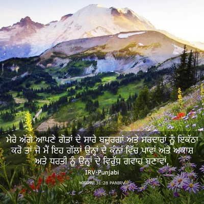 Picture 03 - ਅਸਤਸਨਾ 31:28 PANIRV - ਮੇਰੇ ਅੱਗੇ ਆਪਣੇ - Bible Verse Picture