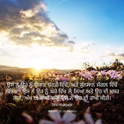 Picture 03 - ਅਸਤਸਨਾ 32:10 PANIRV - ਉਸ ਨੇ ਉਹ ਨੂੰ ਉਜਾੜ - Bible Verse Picture