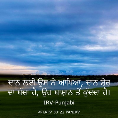 Picture 03 - ਅਸਤਸਨਾ 33:22 PANIRV - ਦਾਨ ਲਈ ਉਸ ਨੇ ਆਖਿਆ, - Bible Verse Picture