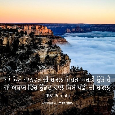 Picture 03 - ਅਸਤਸਨਾ 4:17 PANIRV - ਜਾਂ ਕਿਸੇ ਜਾਨਵਰ ਦੀ - Bible Verse Picture