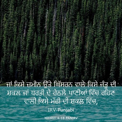 Picture 03 - ਅਸਤਸਨਾ 4:18 PANIRV - ਜਾਂ ਕਿਸੇ ਜ਼ਮੀਨ - Bible Verse Picture