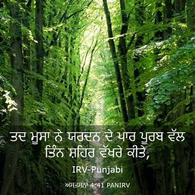 Picture 03 - ਅਸਤਸਨਾ 4:41 PANIRV - ਤਦ ਮੂਸਾ ਨੇ ਯਰਦਨ ਦੇ - Bible Verse Picture