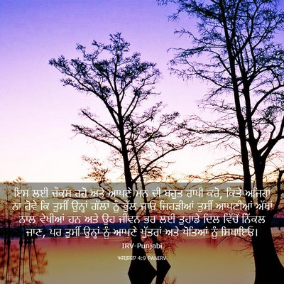 Picture 03 - ਅਸਤਸਨਾ 4:9 PANIRV - ਇਸ ਲਈ ਚੌਕਸ ਰਹੋ ਅਤੇ - Bible Verse Picture