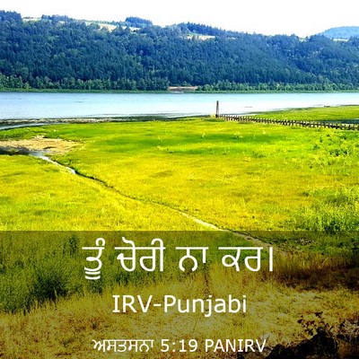 Picture 03 - ਅਸਤਸਨਾ 5:19 PANIRV - ਤੂੰ ਚੋਰੀ ਨਾ - Bible Verse Picture