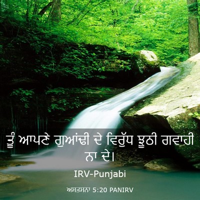 Picture 03 - ਅਸਤਸਨਾ 5:20 PANIRV - ਤੂੰ ਆਪਣੇ ਗੁਆਂਢੀ ਦੇ - Bible Verse Picture