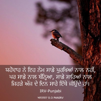 Picture 03 - ਅਸਤਸਨਾ 5:3 PANIRV - ਯਹੋਵਾਹ ਨੇ ਇਹ ਨੇਮ - Bible Verse Picture