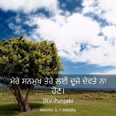 Picture 03 - ਅਸਤਸਨਾ 5:7 PANIRV - ਮੇਰੇ ਸਨਮੁਖ ਤੇਰੇ ਲਈ - Bible Verse Picture