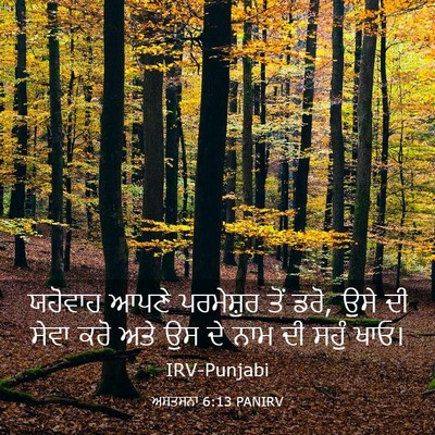 Picture 03 - ਅਸਤਸਨਾ 6:13 PANIRV - ਯਹੋਵਾਹ ਆਪਣੇ - Bible Verse Picture