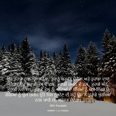 Picture 03 - ਅਸਤਸਨਾ 7:13 PANIRV - ਉਹ ਤੁਹਾਡੇ ਨਾਲ - Bible Verse Picture