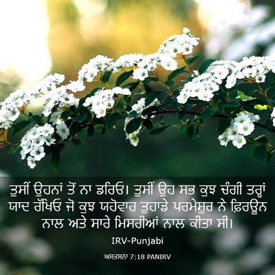 Picture 03 - ਅਸਤਸਨਾ 7:18 PANIRV - ਤੁਸੀਂ ਉਹਨਾਂ ਤੋਂ ਨਾ - Bible Verse Picture