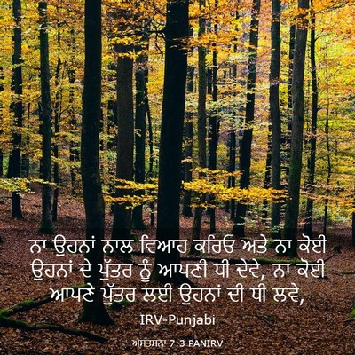 Picture 03 - ਅਸਤਸਨਾ 7:3 PANIRV - ਨਾ ਉਹਨਾਂ ਨਾਲ ਵਿਆਹ - Bible Verse Picture