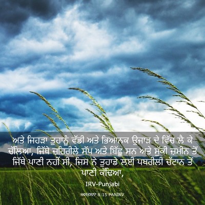 Picture 03 - ਅਸਤਸਨਾ 8:15 PANIRV - ਅਤੇ ਜਿਹੜਾ ਤੁਹਾਨੂੰ - Bible Verse Picture