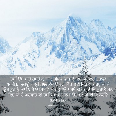 Picture 03 - ਅਸਤਸਨਾ 8:2 PANIRV - ਤੁਸੀਂ ਉਸ ਸਾਰੇ ਰਸਤੇ - Bible Verse Picture