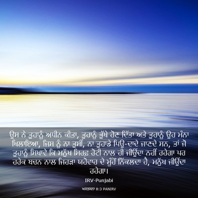 Picture 03 - ਅਸਤਸਨਾ 8:3 PANIRV - ਉਸ ਨੇ ਤੁਹਾਨੂੰ ਅਧੀਨ - Bible Verse Picture