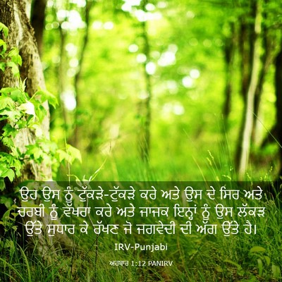 Picture 03 - ਅਹਬਾਰ 1:12 PANIRV - ਉਹ ਉਸ ਨੂੰ - Bible Verse Picture