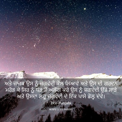 Picture 03 - ਅਹਬਾਰ 1:15 PANIRV - ਅਤੇ ਜਾਜਕ ਉਸ ਨੂੰ - Bible Verse Picture