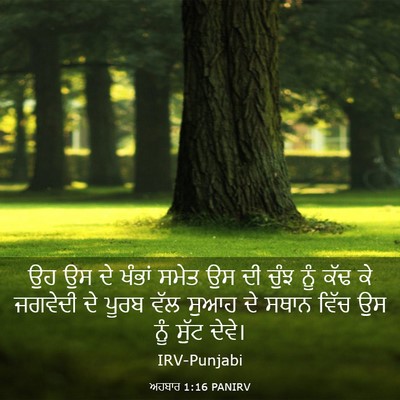 Picture 03 - ਅਹਬਾਰ 1:16 PANIRV - ਉਹ ਉਸ ਦੇ ਖੰਭਾਂ ਸਮੇਤ - Bible Verse Picture