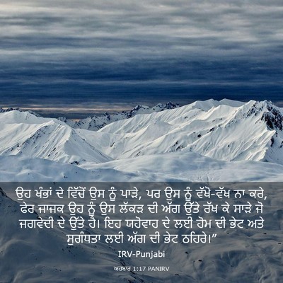 Picture 03 - ਅਹਬਾਰ 1:17 PANIRV - ਉਹ ਖੰਭਾਂ ਦੇ ਵਿੱਚੋਂ - Bible Verse Picture
