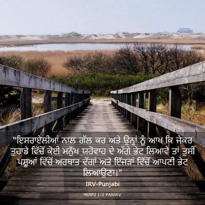 Picture 03 - ਅਹਬਾਰ 1:2 PANIRV - “ਇਸਰਾਏਲੀਆਂ ਨਾਲ - Bible Verse Picture