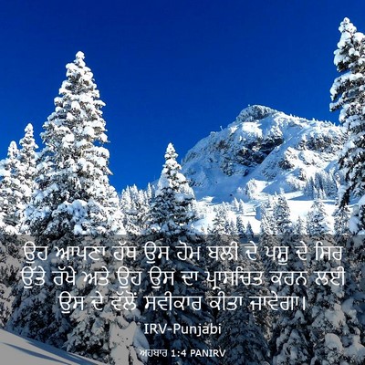 Picture 03 - ਅਹਬਾਰ 1:4 PANIRV - ਉਹ ਆਪਣਾ ਹੱਥ ਉਸ ਹੋਮ - Bible Verse Picture