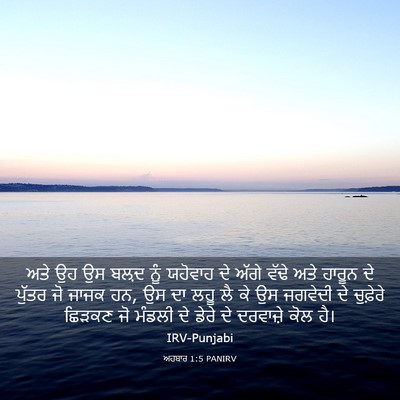 Picture 03 - ਅਹਬਾਰ 1:5 PANIRV - ਅਤੇ ਉਹ ਉਸ ਬਲ਼ਦ ਨੂੰ - Bible Verse Picture