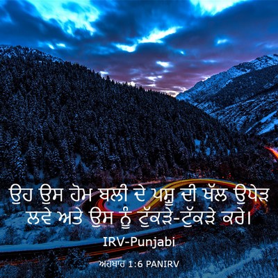 Picture 03 - ਅਹਬਾਰ 1:6 PANIRV - ਉਹ ਉਸ ਹੋਮ ਬਲੀ ਦੇ - Bible Verse Picture