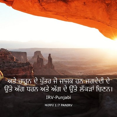 Picture 03 - ਅਹਬਾਰ 1:7 PANIRV - ਅਤੇ ਹਾਰੂਨ ਦੇ ਪੁੱਤਰ - Bible Verse Picture