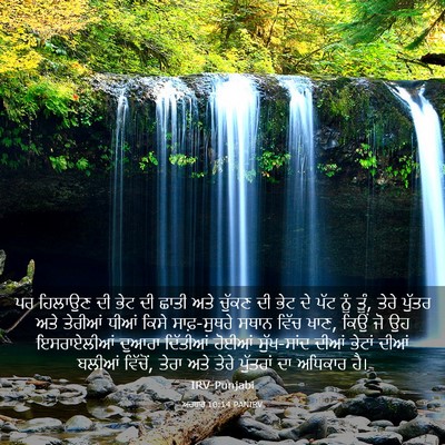 Picture 03 - ਅਹਬਾਰ 10:14 PANIRV - ਪਰ ਹਿਲਾਉਣ ਦੀ ਭੇਟ ਦੀ - Bible Verse Picture
