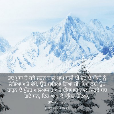 Picture 03 - ਅਹਬਾਰ 10:16 PANIRV - ਤਦ ਮੂਸਾ ਨੇ ਬੜੇ ਜਤਨ - Bible Verse Picture