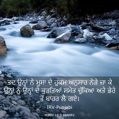 Picture 03 - ਅਹਬਾਰ 10:5 PANIRV - ਤਦ ਉਨ੍ਹਾਂ ਨੇ ਮੂਸਾ - Bible Verse Picture