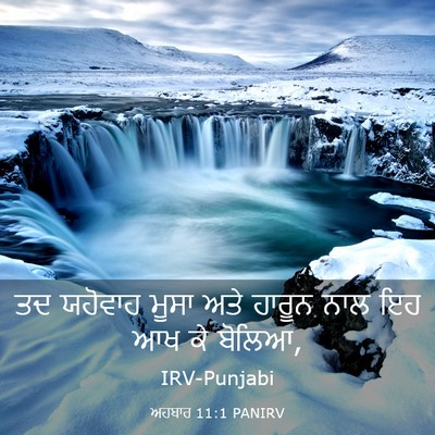 Picture 03 - ਅਹਬਾਰ 11:1 PANIRV - ਤਦ ਯਹੋਵਾਹ ਮੂਸਾ ਅਤੇ - Bible Verse Picture