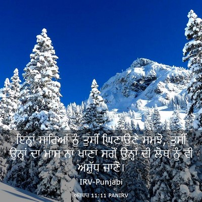Picture 03 - ਅਹਬਾਰ 11:11 PANIRV - ਇਨ੍ਹਾਂ ਸਾਰਿਆਂ ਨੂੰ - Bible Verse Picture