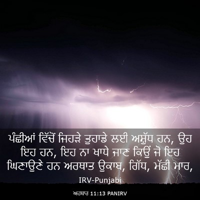 Picture 03 - ਅਹਬਾਰ 11:13 PANIRV - ਪੰਛੀਆਂ ਵਿੱਚੋਂ - Bible Verse Picture