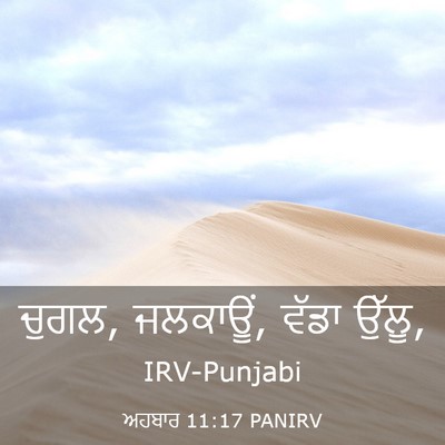 Picture 03 - ਅਹਬਾਰ 11:17 PANIRV - ਚੁਗਲ, ਜਲਕਾਊਂ, ਵੱਡਾ - Bible Verse Picture