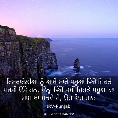 Picture 03 - ਅਹਬਾਰ 11:2 PANIRV - ਇਸਰਾਏਲੀਆਂ ਨੂੰ ਆਖੋ - Bible Verse Picture