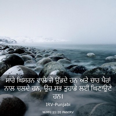 Picture 03 - ਅਹਬਾਰ 11:20 PANIRV - ਸਾਰੇ ਘਿਸਰਨ ਵਾਲੇ ਜੋ - Bible Verse Picture