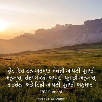 Picture 03 - ਅਹਬਾਰ 11:22 PANIRV - ਉਹ ਇਹ ਹਨ ਅਰਥਾਤ - Bible Verse Picture