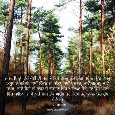 Picture 03 - ਅਹਬਾਰ 11:32 PANIRV - ਜੇਕਰ ਇਨ੍ਹਾਂ - Bible Verse Picture