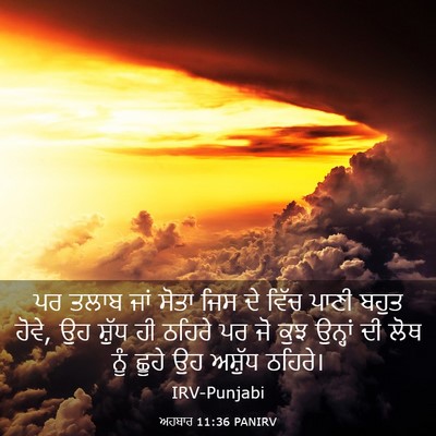 Picture 03 - ਅਹਬਾਰ 11:36 PANIRV - ਪਰ ਤਲਾਬ ਜਾਂ ਸੋਤਾ - Bible Verse Picture