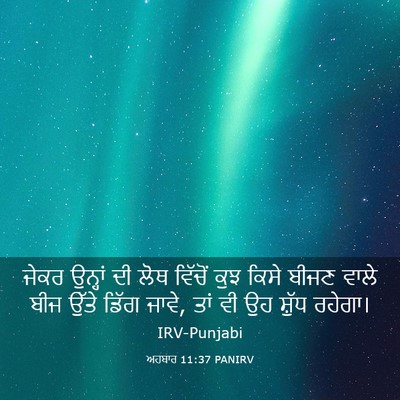 Picture 03 - ਅਹਬਾਰ 11:37 PANIRV - ਜੇਕਰ ਉਨ੍ਹਾਂ ਦੀ ਲੋਥ - Bible Verse Picture