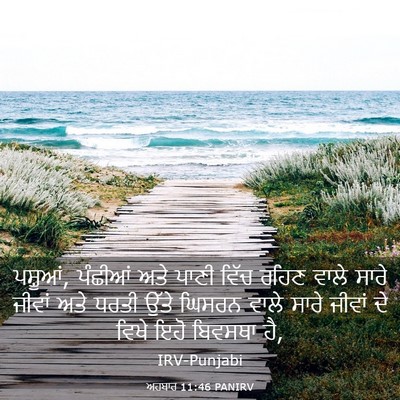 Picture 03 - ਅਹਬਾਰ 11:46 PANIRV - ਪਸ਼ੂਆਂ, ਪੰਛੀਆਂ ਅਤੇ - Bible Verse Picture