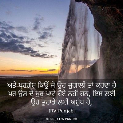 Picture 03 - ਅਹਬਾਰ 11:6 PANIRV - ਅਤੇ ਖਰਗੋਸ਼ ਕਿਉਂ ਜੋ - Bible Verse Picture