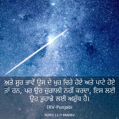 Picture 03 - ਅਹਬਾਰ 11:7 PANIRV - ਅਤੇ ਸੂਰ ਭਾਵੇਂ ਉਸ ਦੇ - Bible Verse Picture