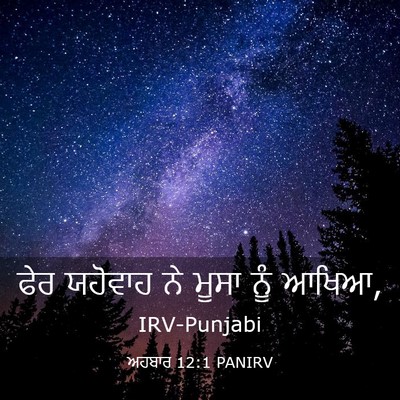 Picture 03 - ਅਹਬਾਰ 12:1 PANIRV - ਫੇਰ ਯਹੋਵਾਹ ਨੇ ਮੂਸਾ - Bible Verse Picture