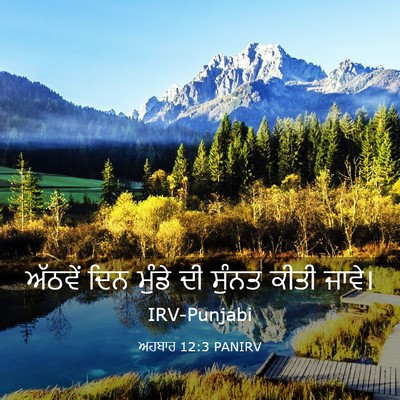 Picture 03 - ਅਹਬਾਰ 12:3 PANIRV - ਅੱਠਵੇਂ ਦਿਨ ਮੁੰਡੇ - Bible Verse Picture