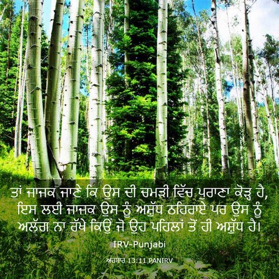 Picture 03 - ਅਹਬਾਰ 13:11 PANIRV - ਤਾਂ ਜਾਜਕ ਜਾਣੇ ਕਿ ਉਸ - Bible Verse Picture
