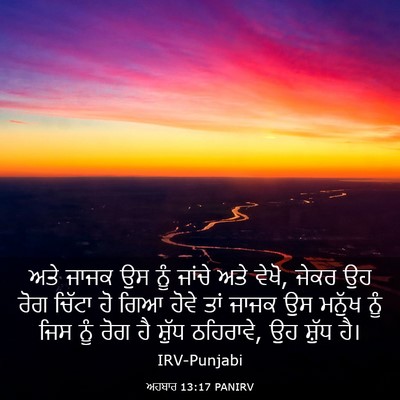 Picture 03 - ਅਹਬਾਰ 13:17 PANIRV - ਅਤੇ ਜਾਜਕ ਉਸ ਨੂੰ - Bible Verse Picture